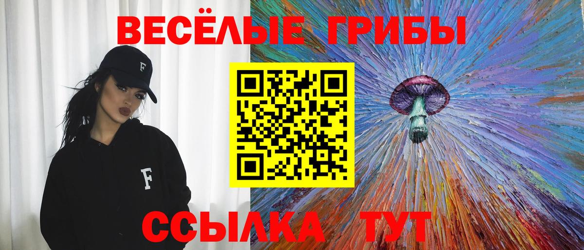 Осинники  Псилоцибиновые грибы ЛСД  Вход с VPN 